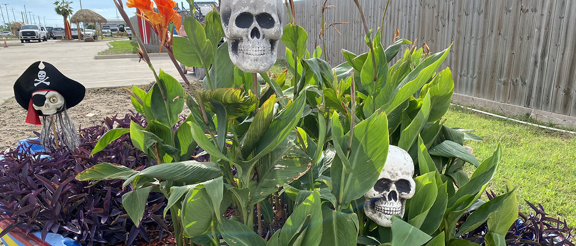 header_2022_pirates